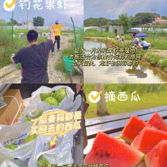 果园镇鑫韬家庭农场 User Photo