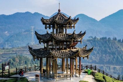 伍家台贡茶(兴隆大道店)