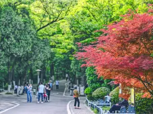 Popular Fall Viewing Attractions in Huaibei