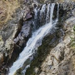 天山天池民俗风情园 User Photo