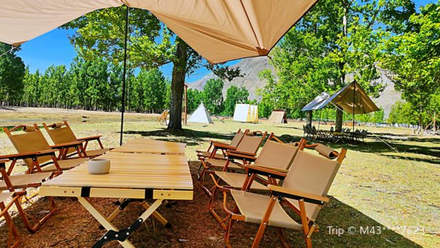 Wild Embroidery Peninsula Camping