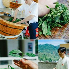 快乐番薯(安溪虎邱洪恩岩店) User Photo