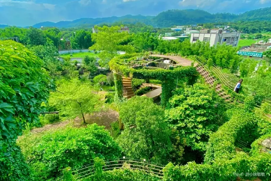 陽江了園