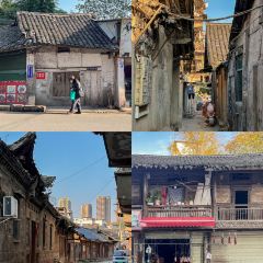 吴氏大枣兔 User Photo
