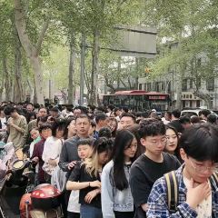 九级村便民农贸市场 여행 사진