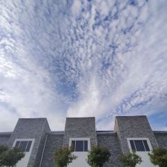 聚福园 User Photo