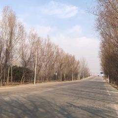 小崔家臊子面(蔡家坡总店) 여행 사진