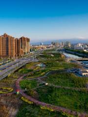 Wetland Park