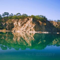 翠園農莊張用戶圖片