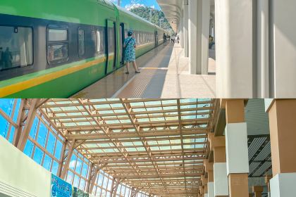 正宗杨记普洱酸醋米线(总店)