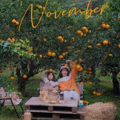 小馆·苔野 User Photo