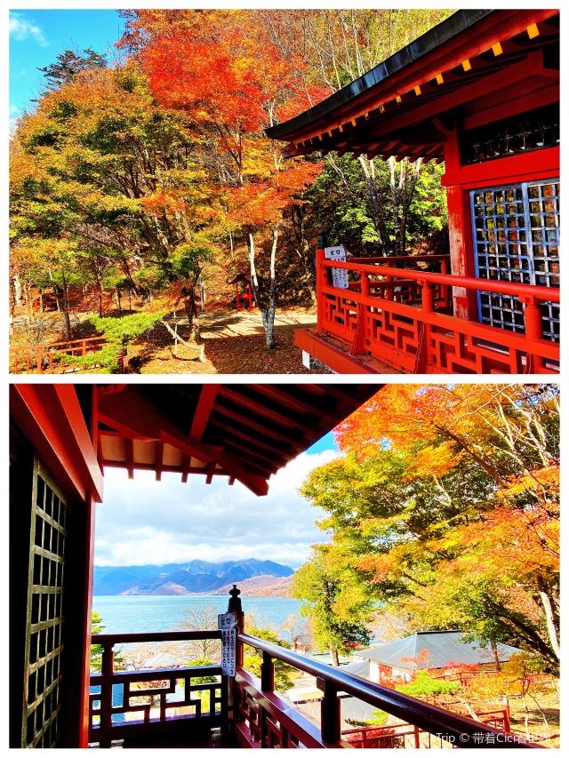 주젠지 호