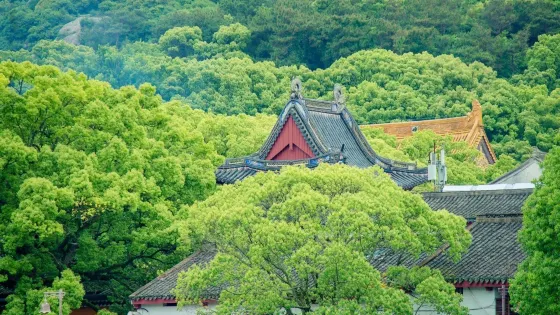 普陀山風景區