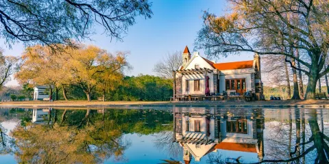 上海共青森林公園