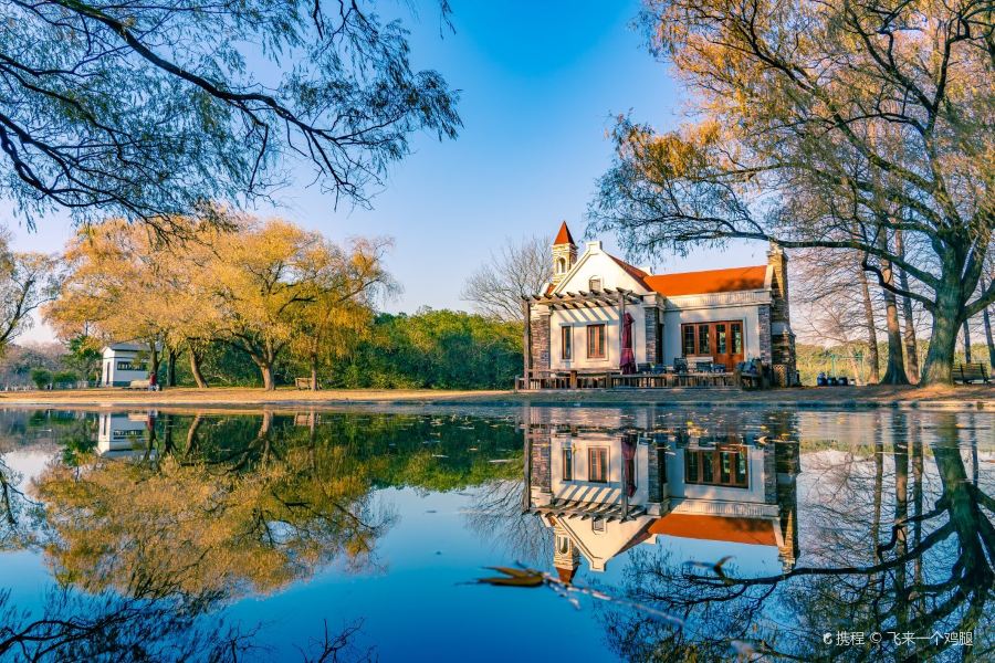 上海共青森林公園