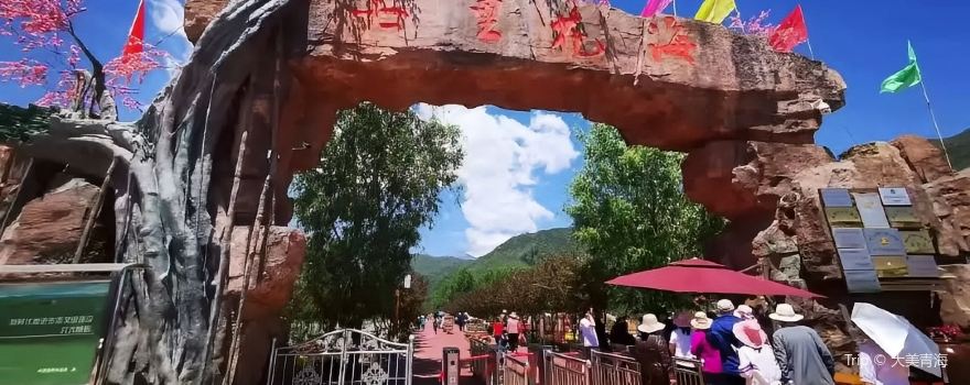 Qili Flower Sea