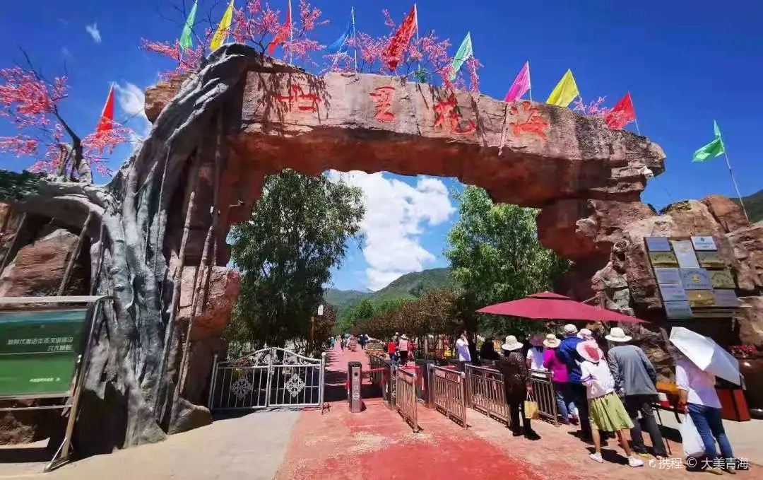 Minhe Qili Flower Sea Scenic Area