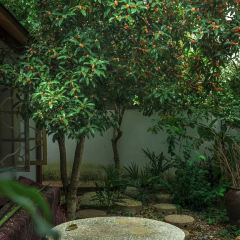 南蘇院 User Photo