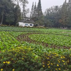 遵生小院(竹艺村店) User Photo