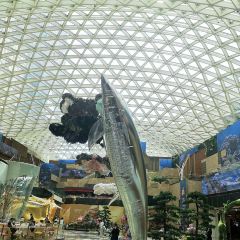 CHÚN（MGM COTAI） User Photo