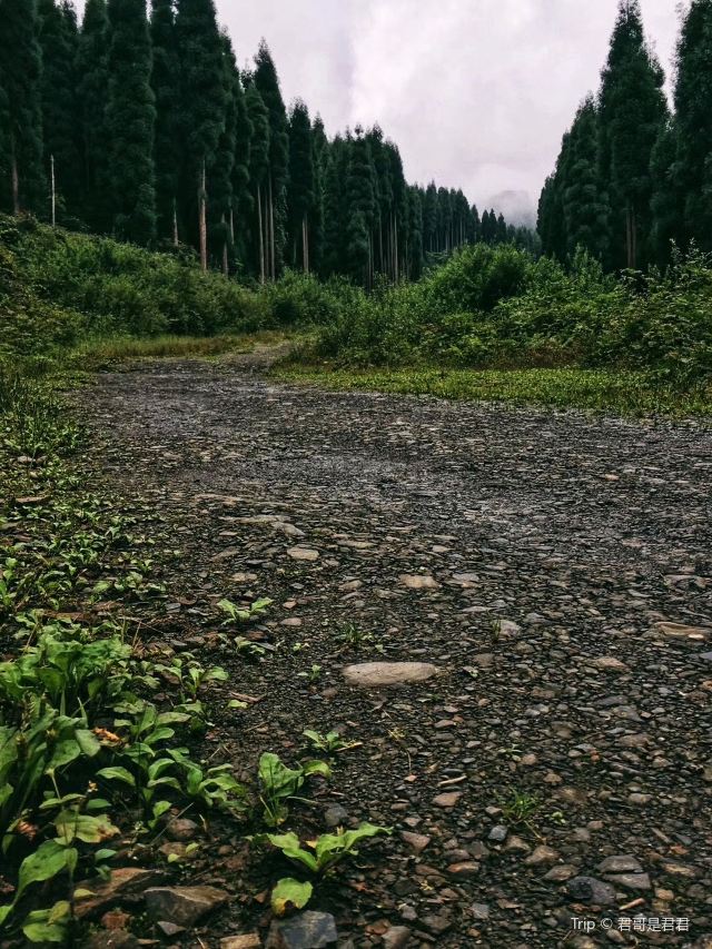 지관산