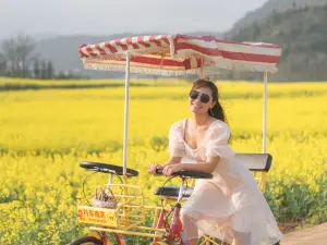 Luoping Rapeseed Flower Scenic Area