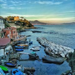 Trattoria Da Procida User Photo