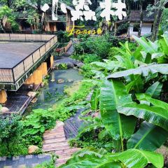 牧心纪·山谷宿(上犹店)·桃歇餐吧 User Photo