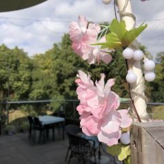 La Jungle Cafe&Bar User Photo