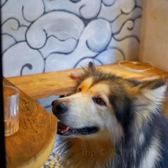 POWER COFFƎE User Photo