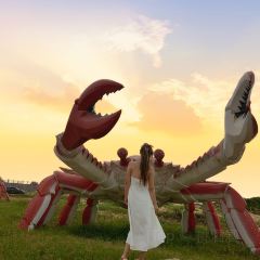 辛庄小海鲜 User Photo