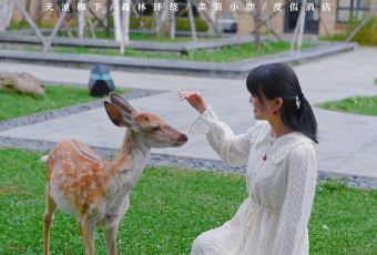 长白山吉视传媒铂尔曼度假酒店·大堂吧 User Photo