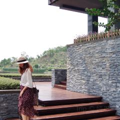 泰·咖啡 User Photo