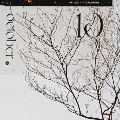 面包树Bread Tree(锦绣香江店) User Photo