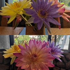 哈尼人家 User Photo