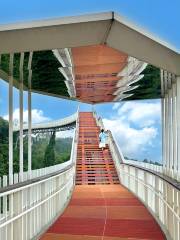 Danjingshan Lionbao Viewing Platform