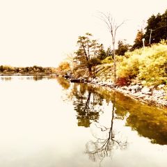 Fishbone By The Lake User Photo