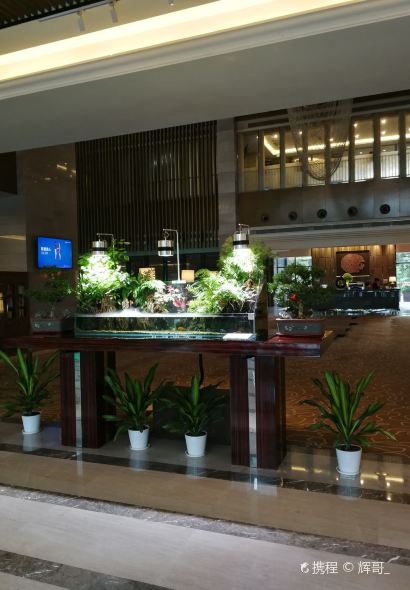 Fortuna Chinese Restaurant