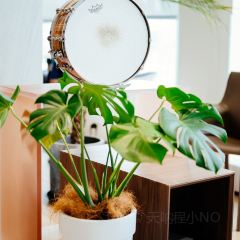ONEWAY COFFEE User Photo