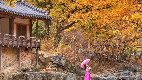 金山城堡