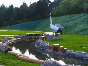 鴜鷺湖採摘園