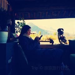 小岛家 User Photo