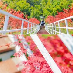 柒月麓山 여행 사진