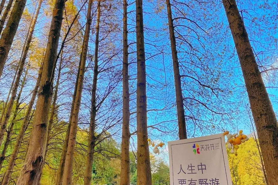 Tianhuajing Scenic Area