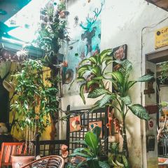 Calanthe Art Cafe User Photo