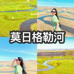 MO RI GE LE MENG GU DA YING User Photo