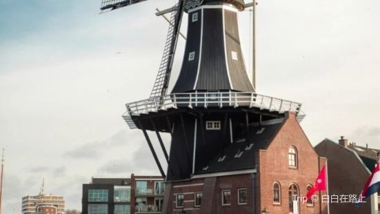 ⭐哈勒姆作为荷兰最古老的小城，#城市人文手记 以生产郁金香�