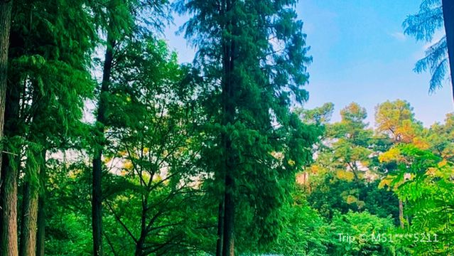 yue yang lou qu nan hu gong yuan