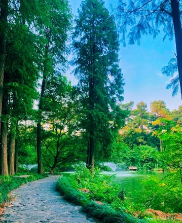 Yueyanglou District Nanhu Park