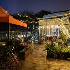 La Jungle Cafe&Bar User Photo